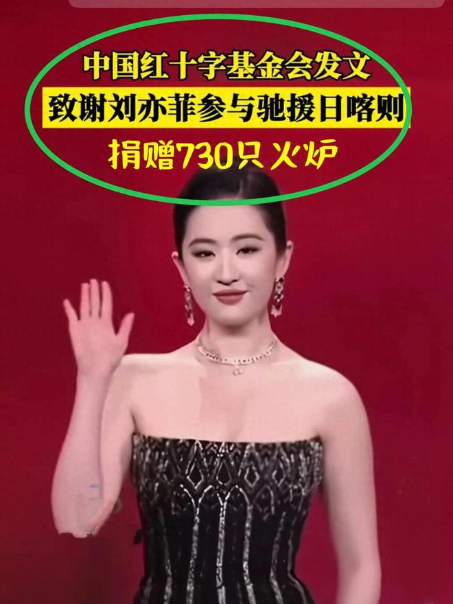 谢刘亦菲捐730只暖火炉网友夸她很聪明麻将胡了模拟器试玩实用难变现红十字会感(图4)